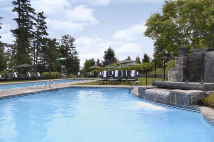Swimming pool with waterfall